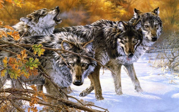 Four wolves in a snowy forest with autumnal foliage. This HD image serves as a striking desktop wallpaper and background.