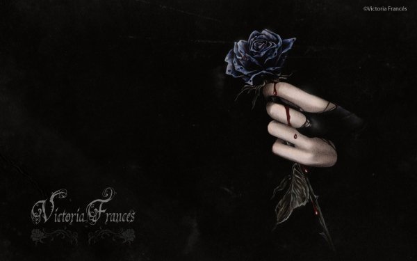 Sombre Gothique Rose Sang Amour Romantic Fond d'écran HD | Image