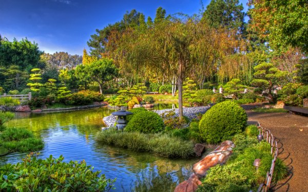 Photography Park HDR HD Wallpaper | Background Image