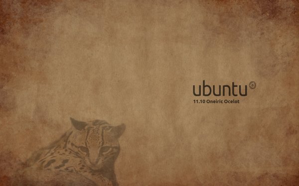 Technology Ubuntu Linux HD Wallpaper | Background Image