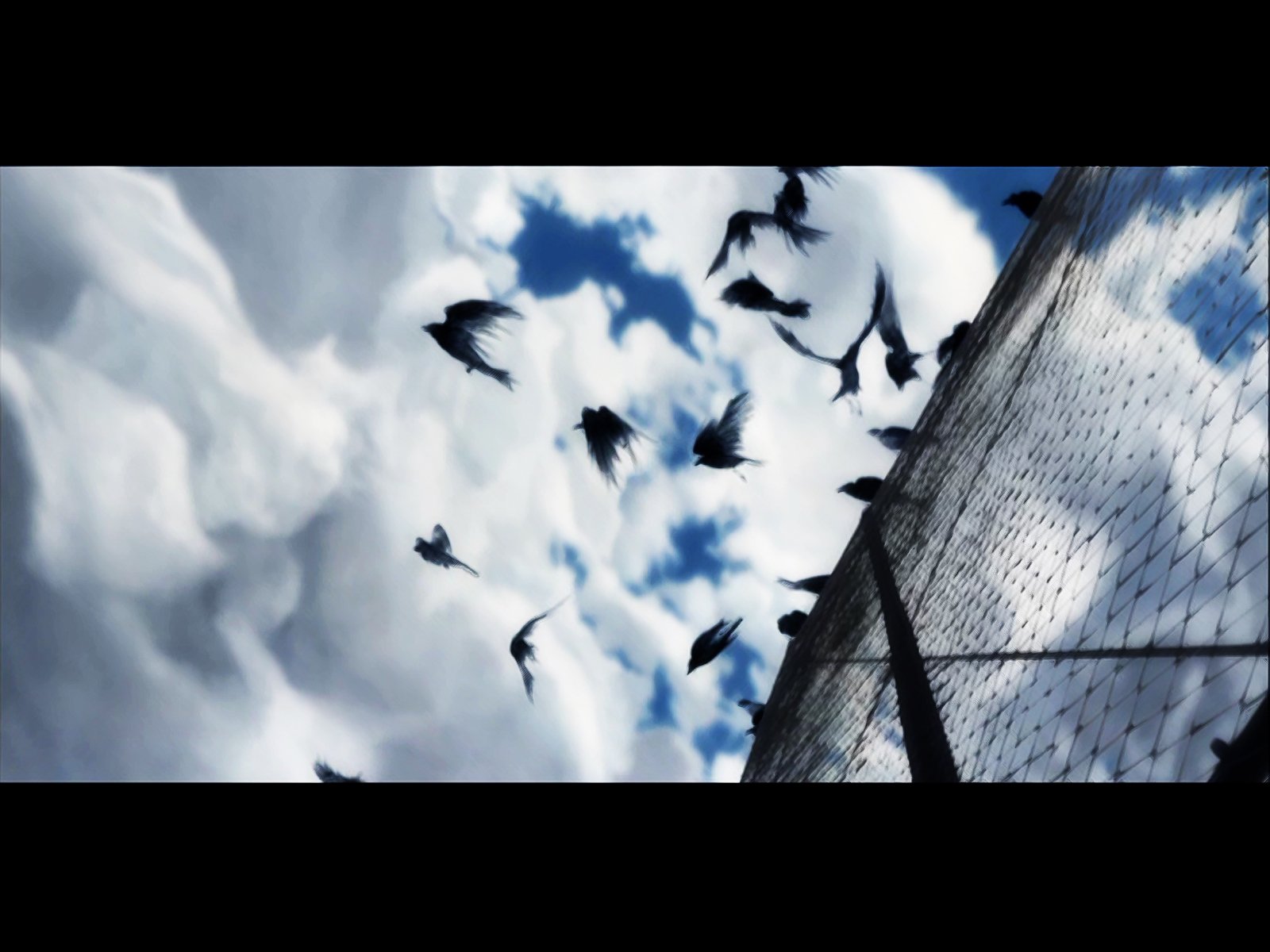 HD Anime desktop wallpaper from The Animatrix featuring birds flying over a chain-link fence under a dramatic cloudy sky.