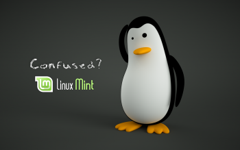 100 Linux Mint Hd Oboi Fony