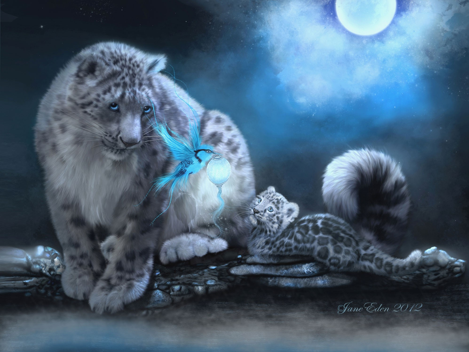 The Snow Leopards And The Fantasy Bird by Jane Eden