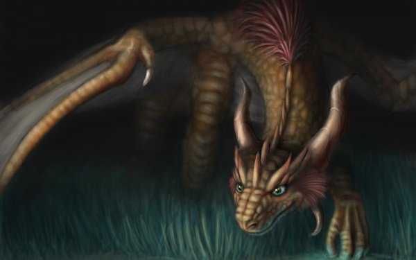 Fantasy Dragon HD Wallpaper | Background Image