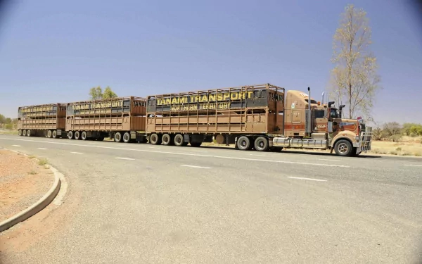 HD PC desktop wallpaper featuring a large semi truck hauling multiple livestock trailers on a paved road in a rural setting.