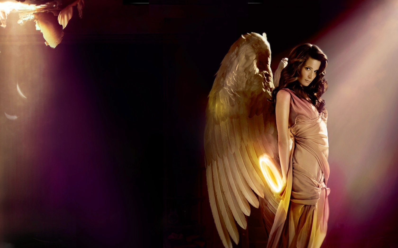 Angel Wallpaper And Background Image 1680x1050 Id 254153