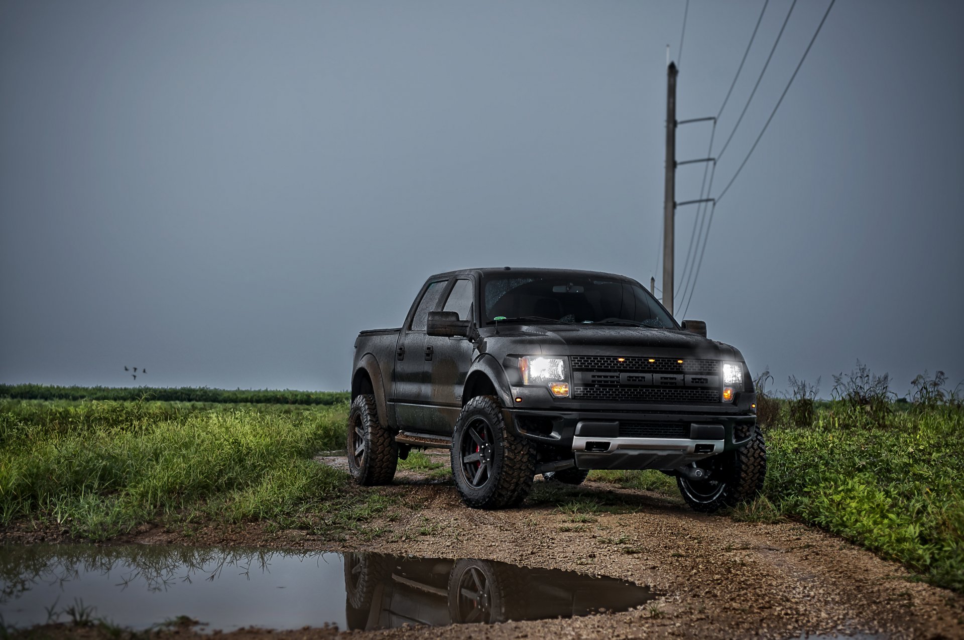 Download Vehicle Ford Raptor 4k Ultra Hd Wallpaper 4992