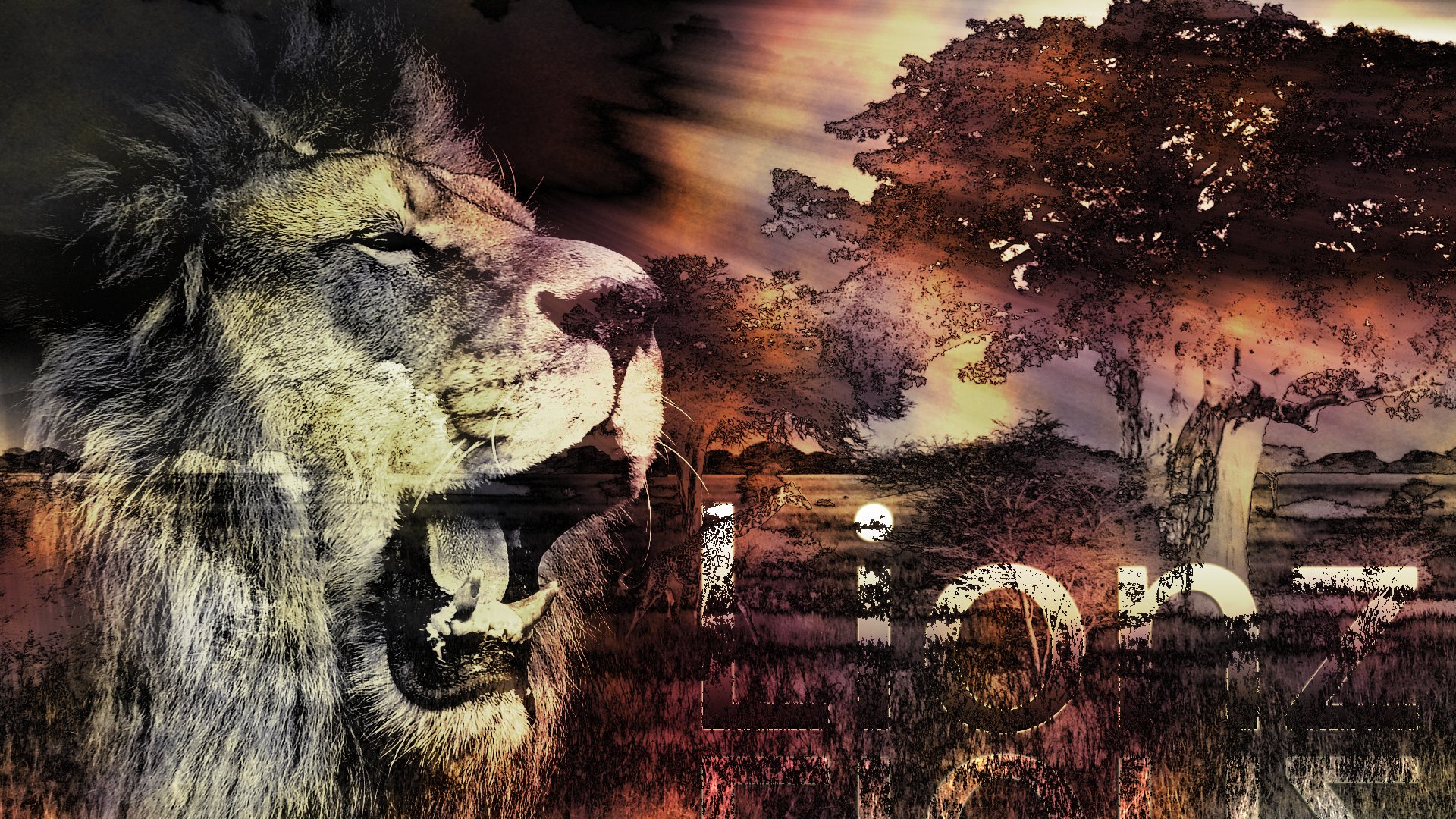 HD PC desktop wallpaper of a roaring lion amid a dramatic savanna sunset—nature and animal elements with silhouetted trees.