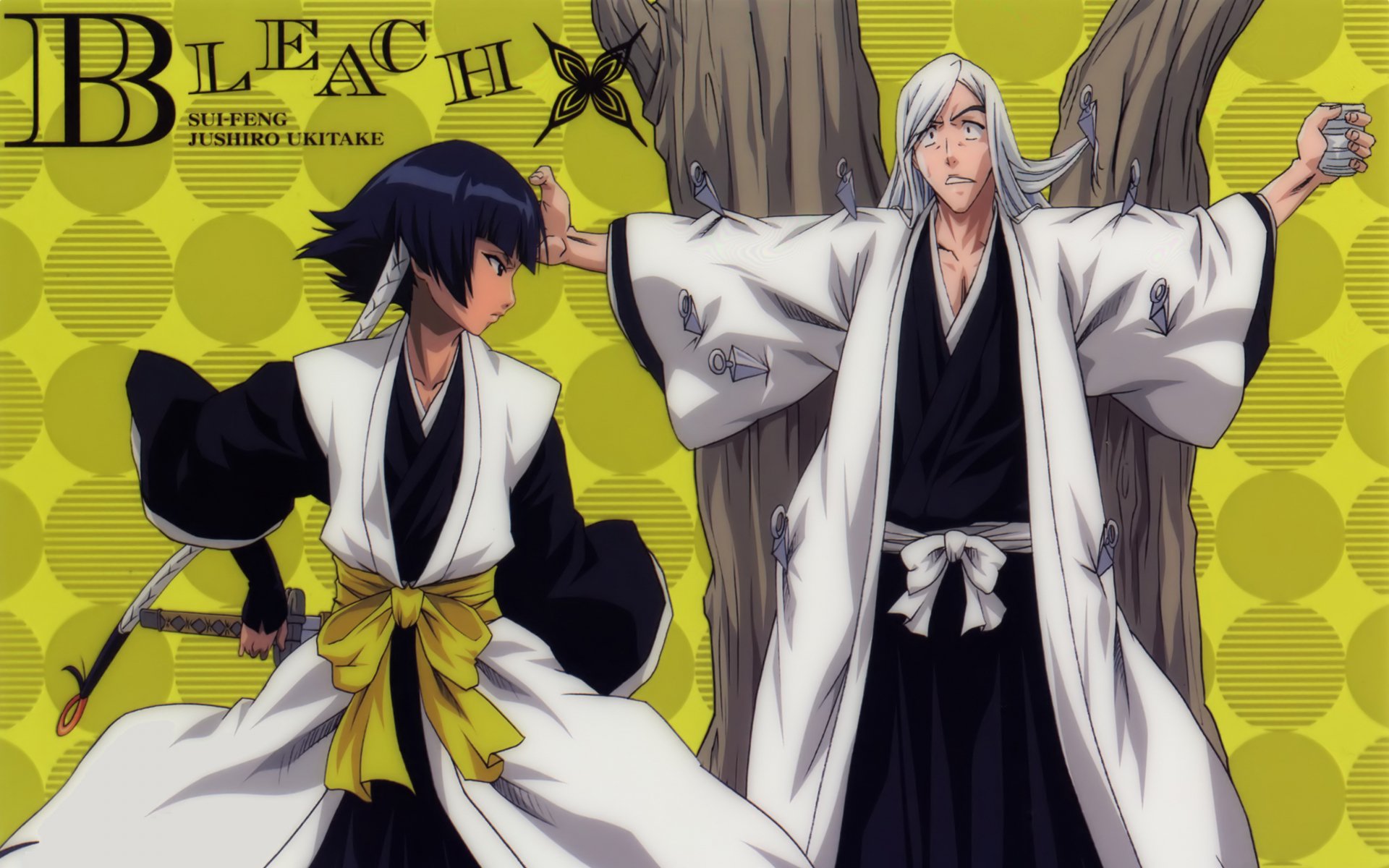 Download Soifon (Bleach) Jūshirō Ukitake Anime Bleach 4k Ultra HD Wallpaper