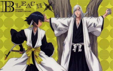 Soifon (Bleach) Jūshirō Ukitake Anime Bleach HD Desktop Wallpaper | Background Image