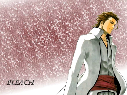 Sōsuke Aizen Anime Bleach HD Desktop Wallpaper | Background Image