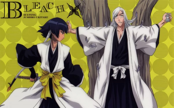 Soifon (Bleach) Jūshirō Ukitake Anime Bleach HD Desktop Wallpaper | Background Image