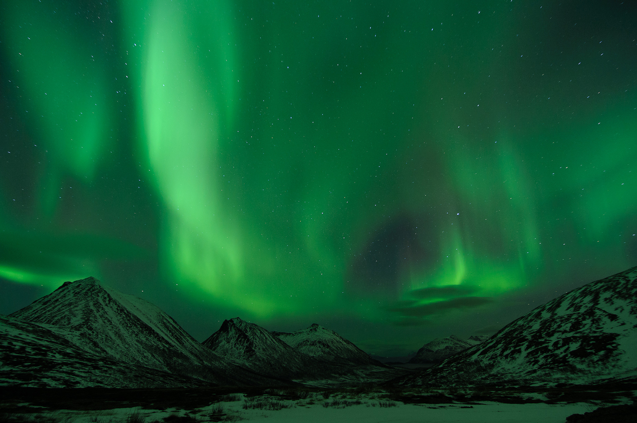 Nature Aurora Borealis HD Wallpaper | Background Image