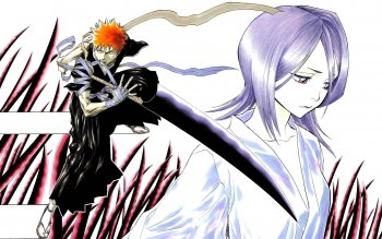 790 Rukia Kuchiki 高清壁纸 桌面背景