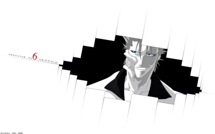 Grimmjow Jaegerjaquez Anime Bleach HD Desktop Wallpaper | Background Image