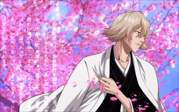 Kisuke Urahara Anime Bleach HD Desktop Wallpaper | Background Image