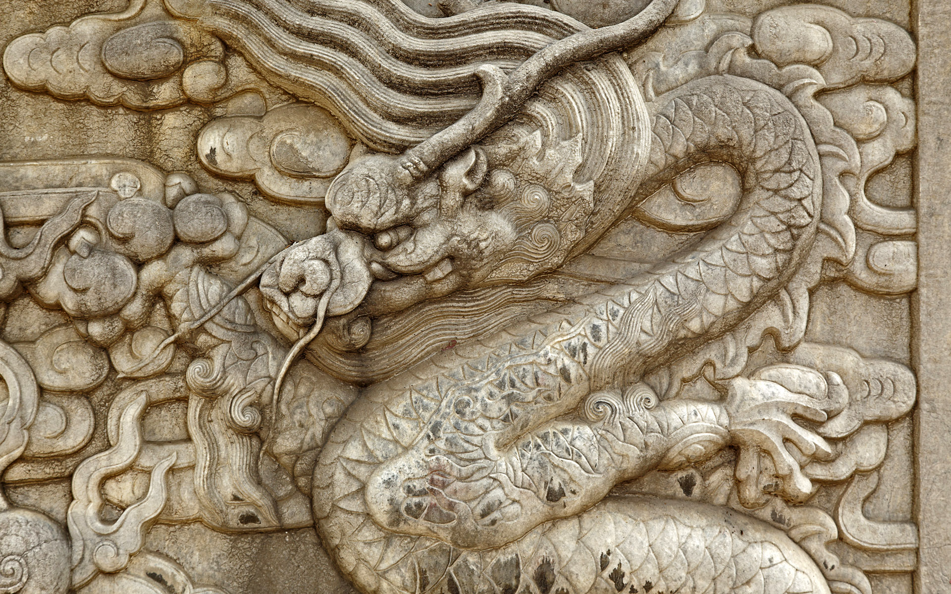 Man Made Dragon HD Wallpaper | Background Image