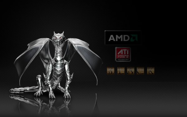 Technology AMD Dragon HD Wallpaper | Background Image