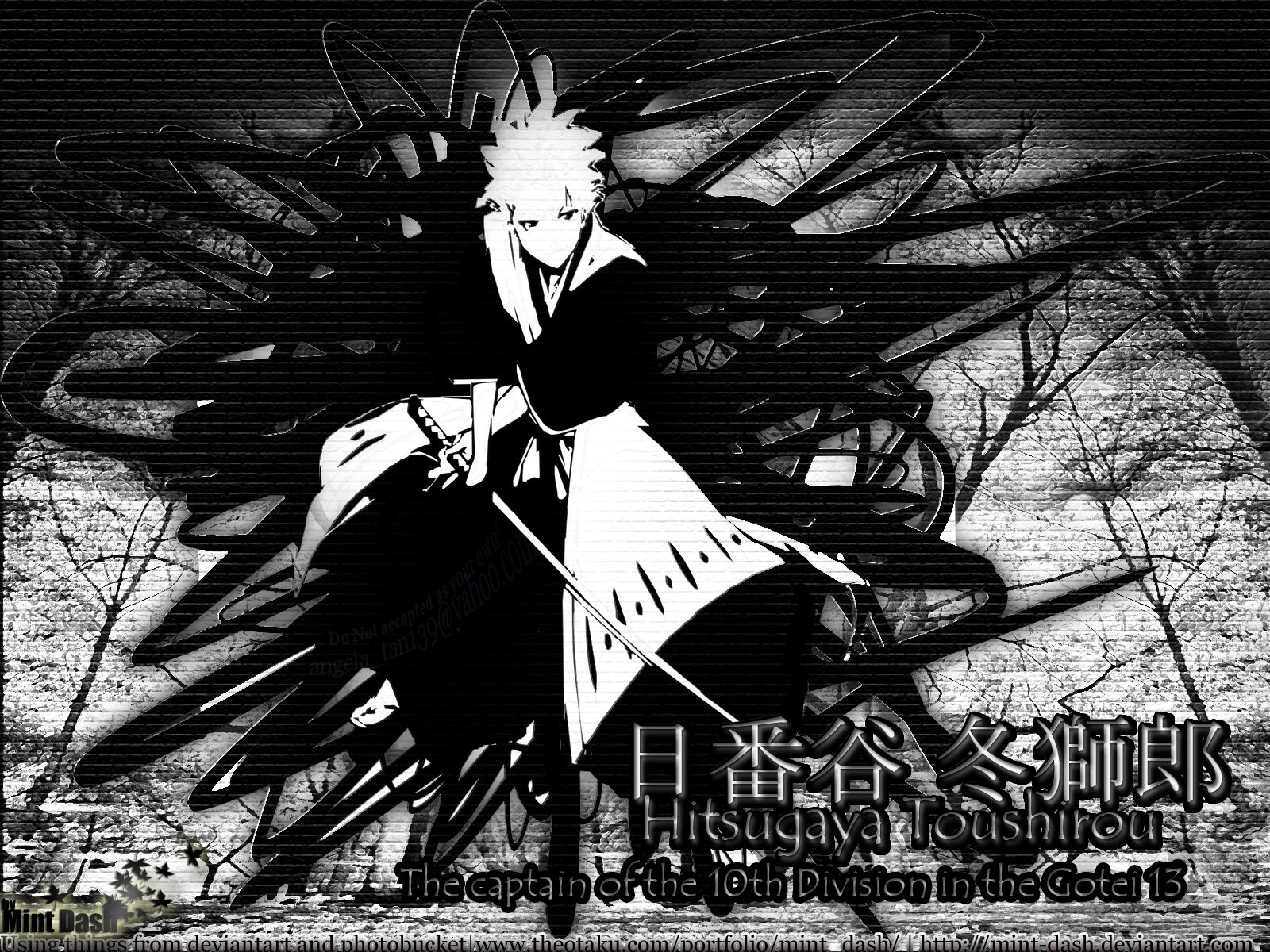 Download Tōshirō Hitsugaya Anime Bleach Wallpaper