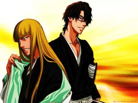 Sōsuke Aizen Shinji Hirako Anime Bleach HD Desktop Wallpaper | Background Image