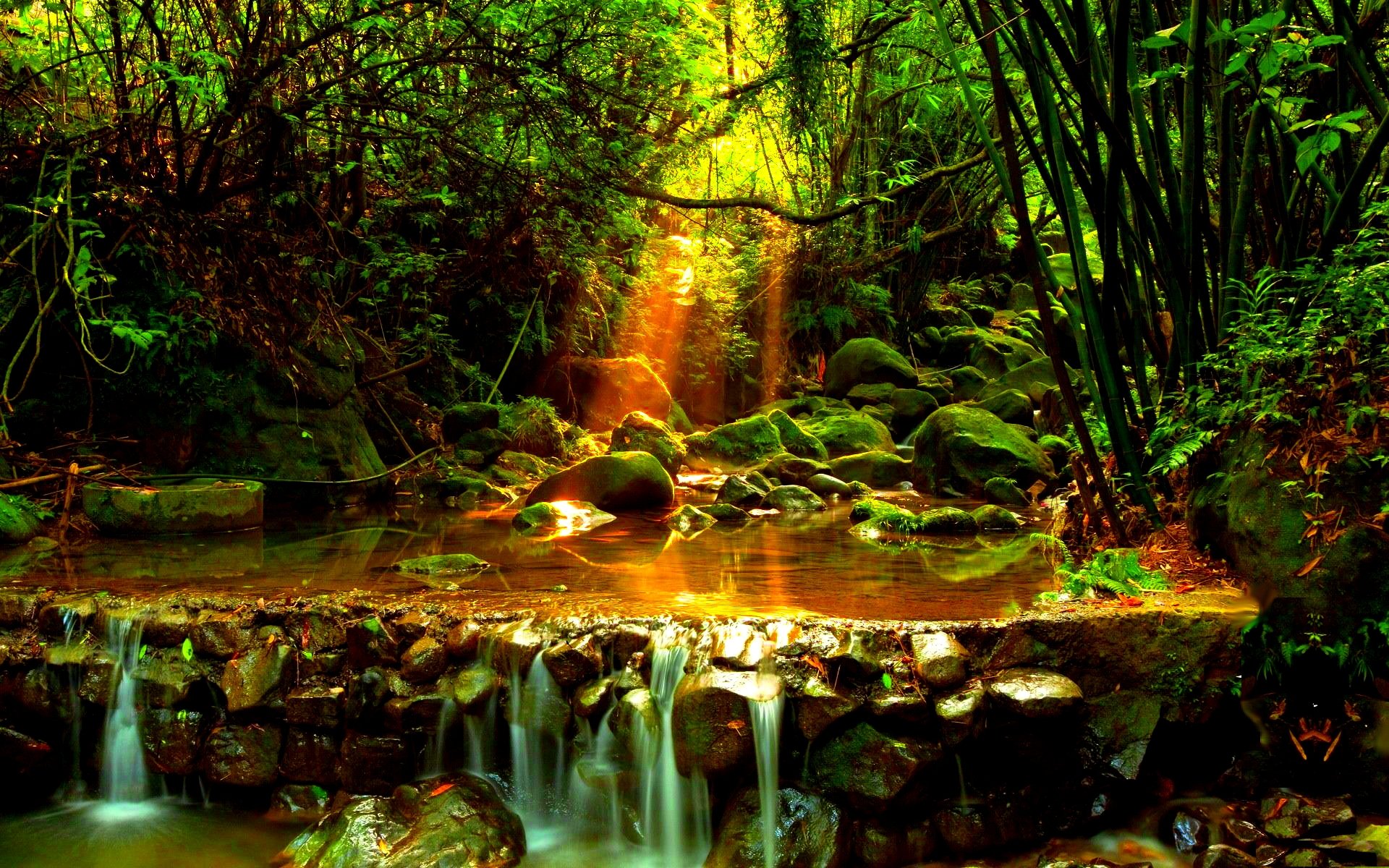 Download Nature Waterfall HD Wallpaper