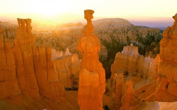 Earth Bryce Canyon National Park National Park Utah HD Wallpaper | Background Image
