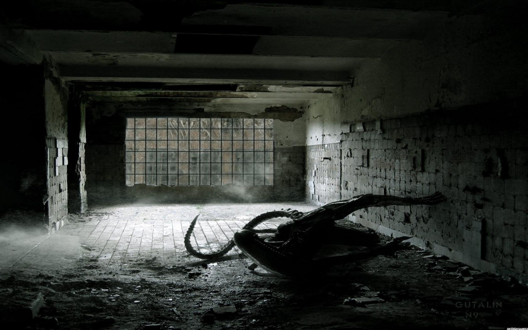 Download Alien Video Game Aliens: Colonial Marines Wallpaper