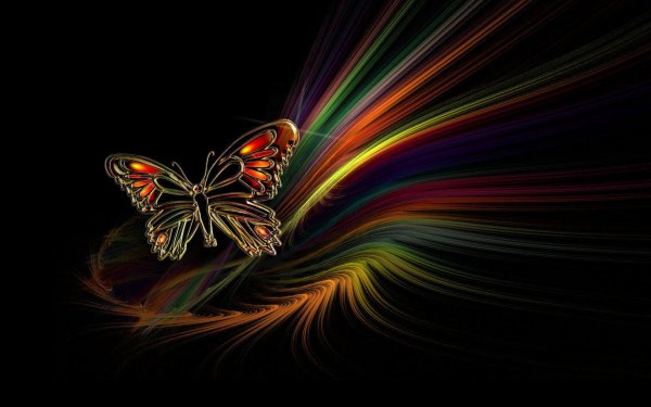 Artistic Butterfly Colors Colorful HD Wallpaper | Background Image