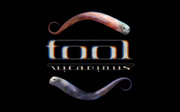 music Tool HD Desktop Wallpaper | Background Image