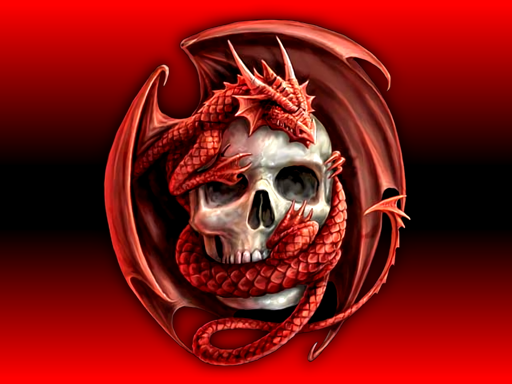 Fantasy-themed HD wallpaper featuring a detailed illustration of a red dragon entwined around a human skull on a dark red background.