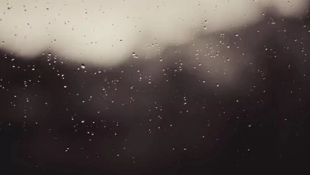A close-up of rain droplets on a window, blurred shadows in the background, creating a tranquil atmosphere. This high-definition photography serves as a soothing desktop wallpaper.