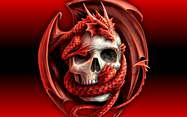 Fantasy-themed HD wallpaper featuring a detailed illustration of a red dragon entwined around a human skull on a dark red background.