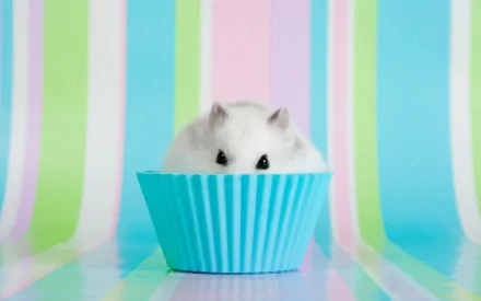 A cute white hamster sitting in a light blue cupcake liner, set against a colorful striped background. This whimsical image makes a charming HD desktop wallpaper.