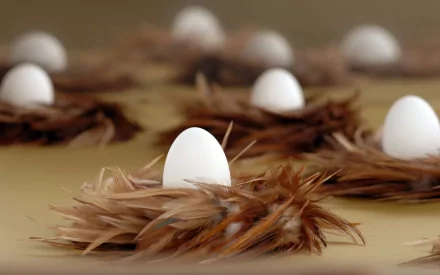 HD PC desktop wallpaper background: food-themed still life of white eggs nestled in small feather nests on a soft beige surface.