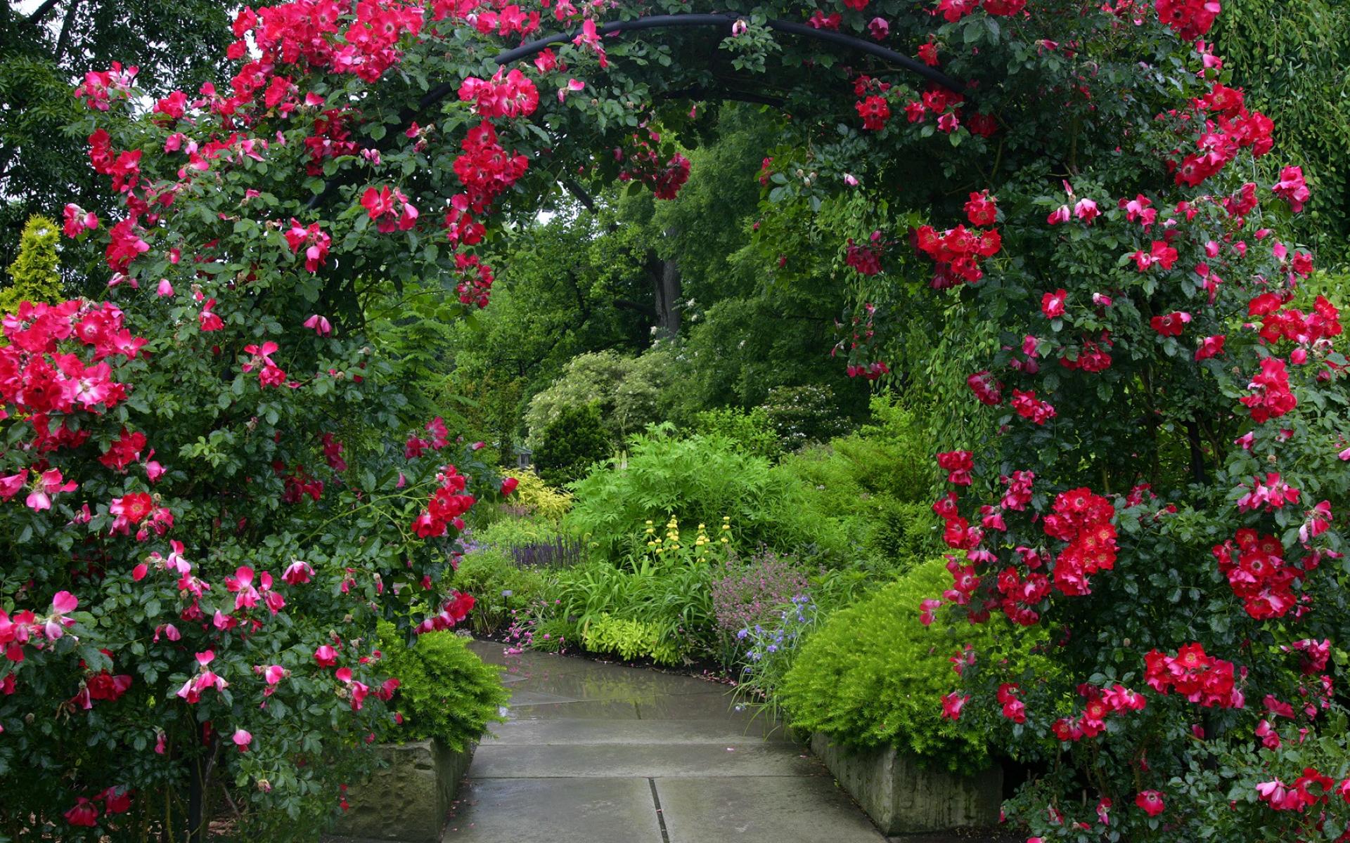 Heart tree Wallpaper 4K, Flower garden, Red flowers