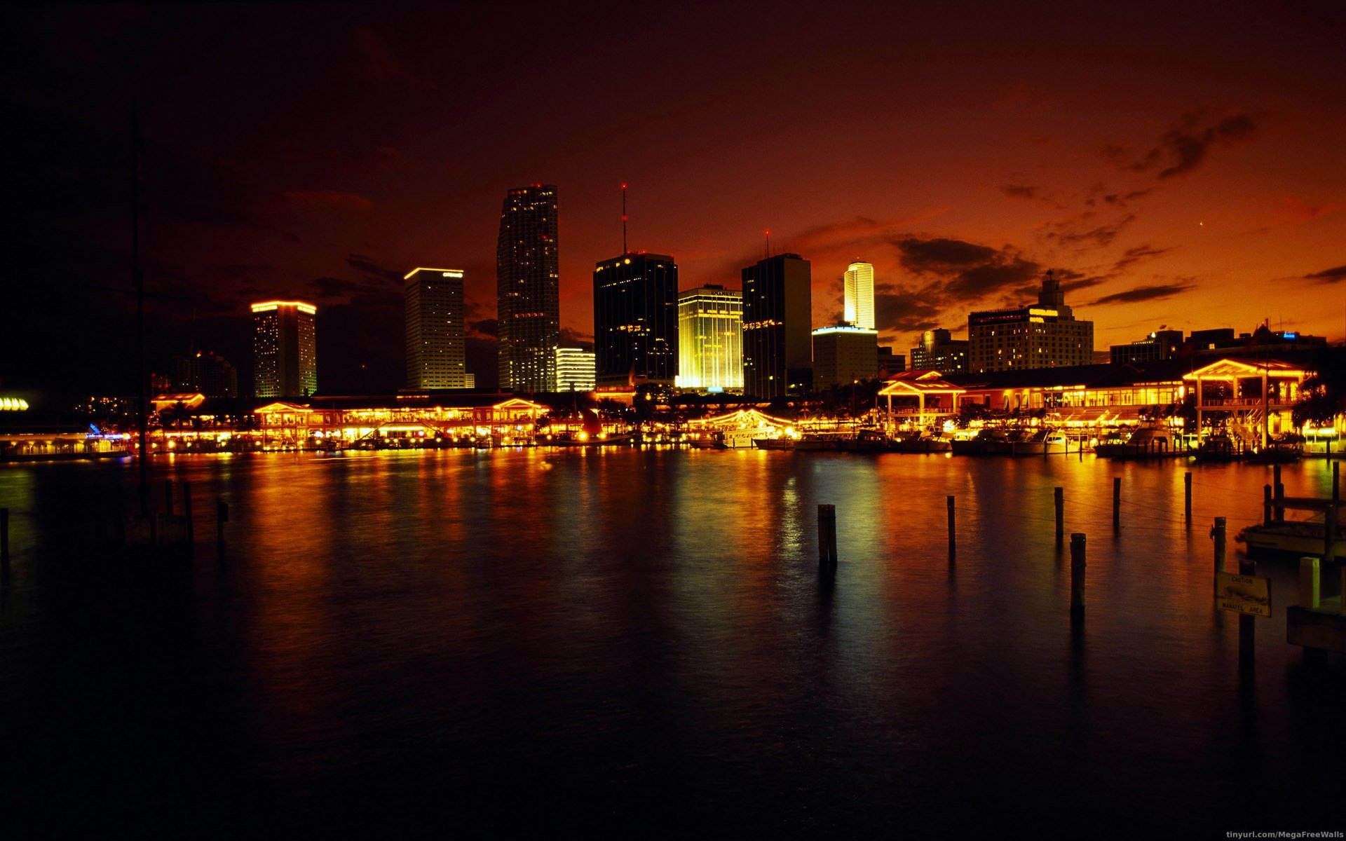 Download Florida Man Made Miami HD Wallpaper