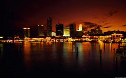 Florida man made Miami HD Desktop Wallpaper | Background Image