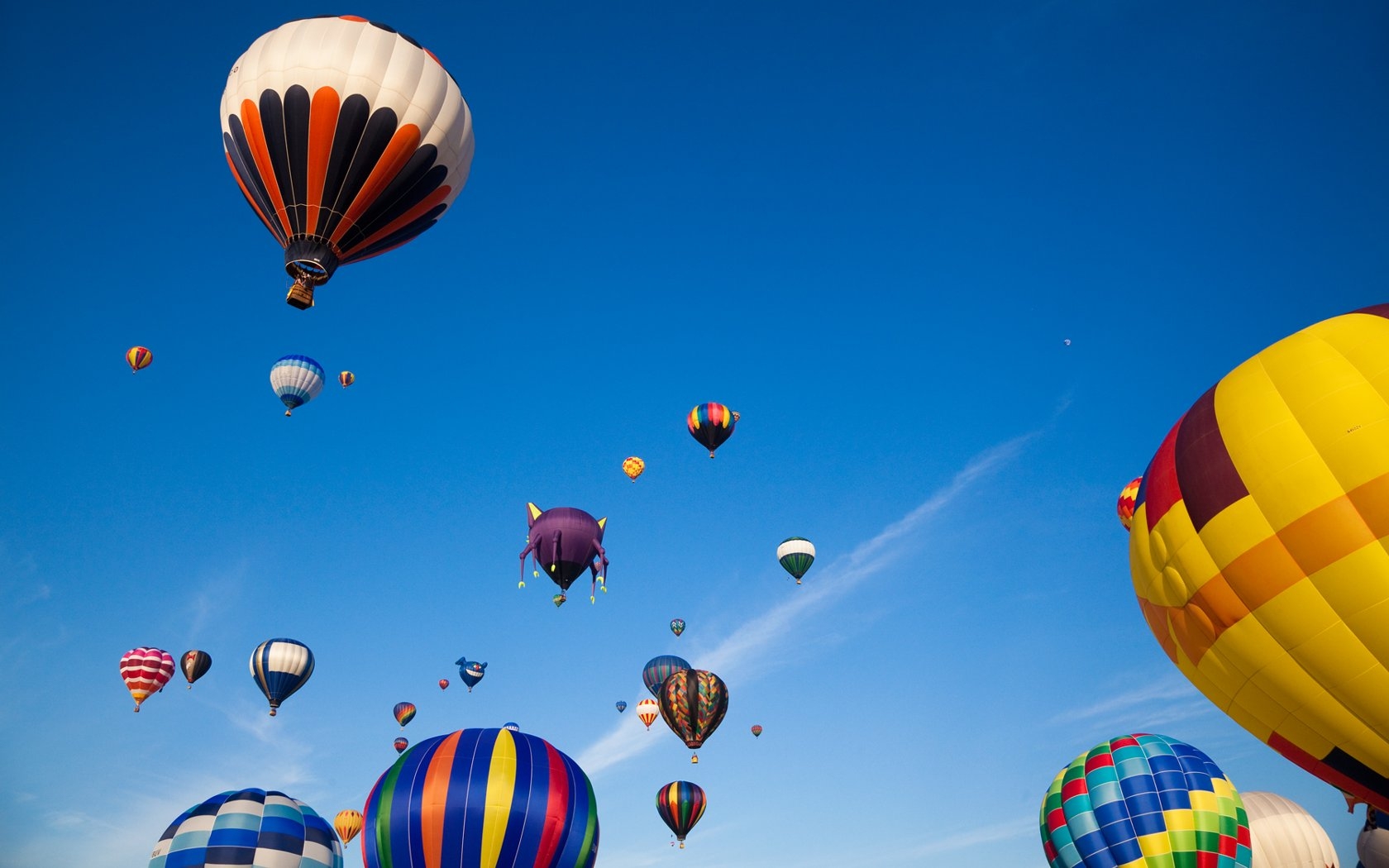 Download Vehicle Hot Air Balloon Wallpaper