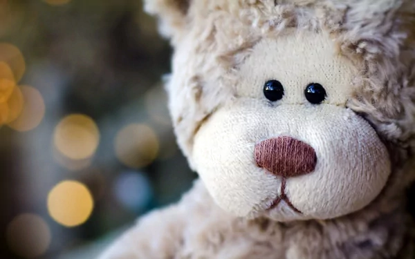 man made stuffed animal HD Desktop Wallpaper | Background Image