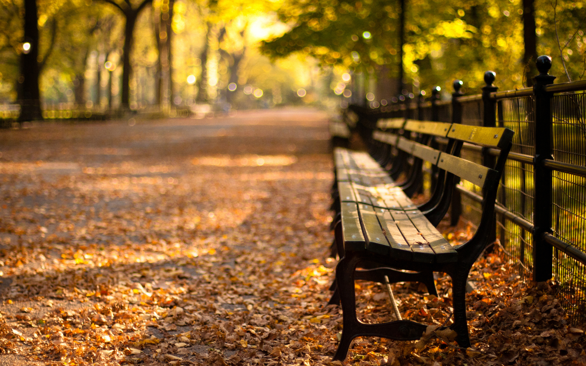 Man Made Bench HD Wallpaper | Background Image