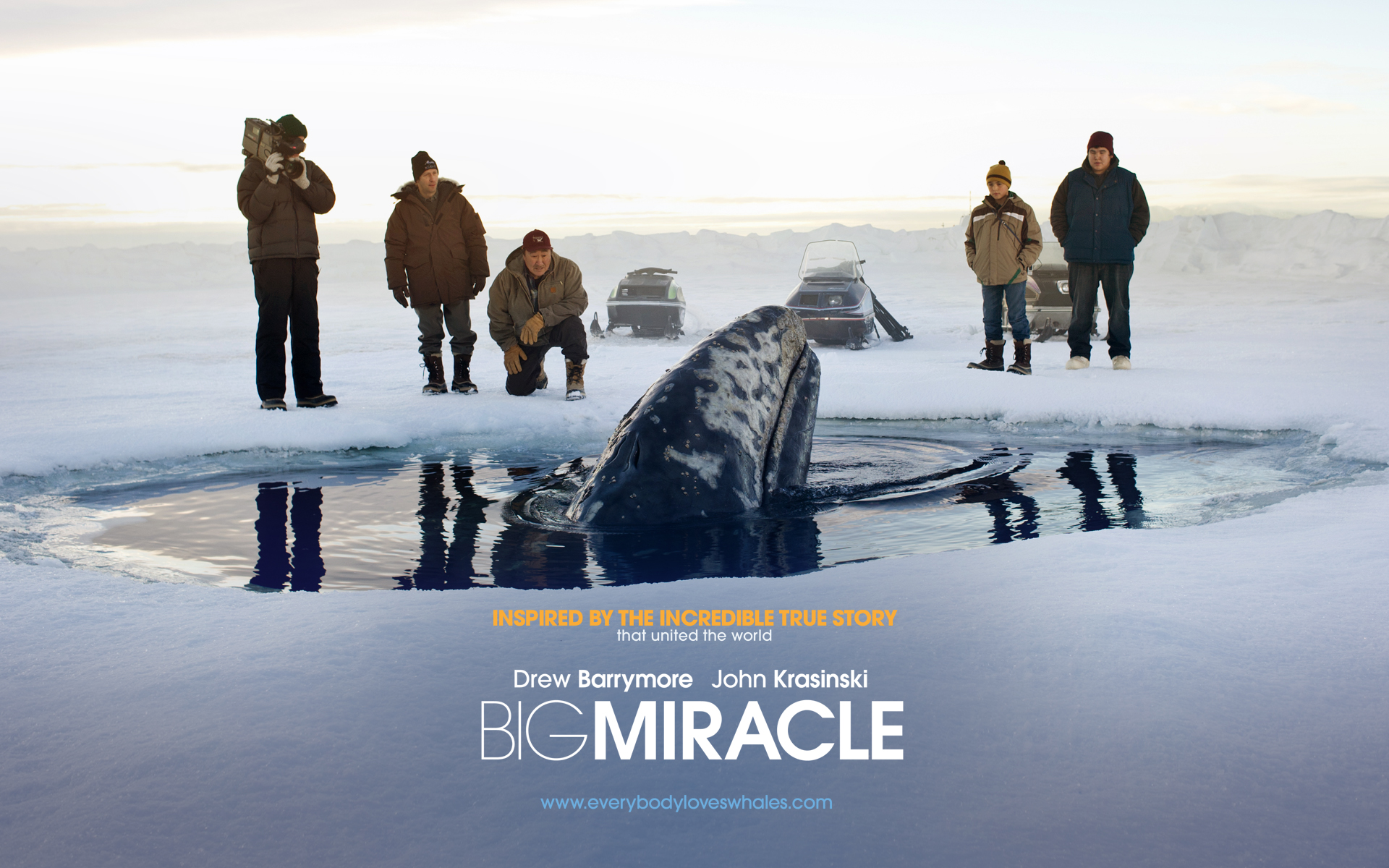 Movie Big Miracle HD Wallpaper | Background Image