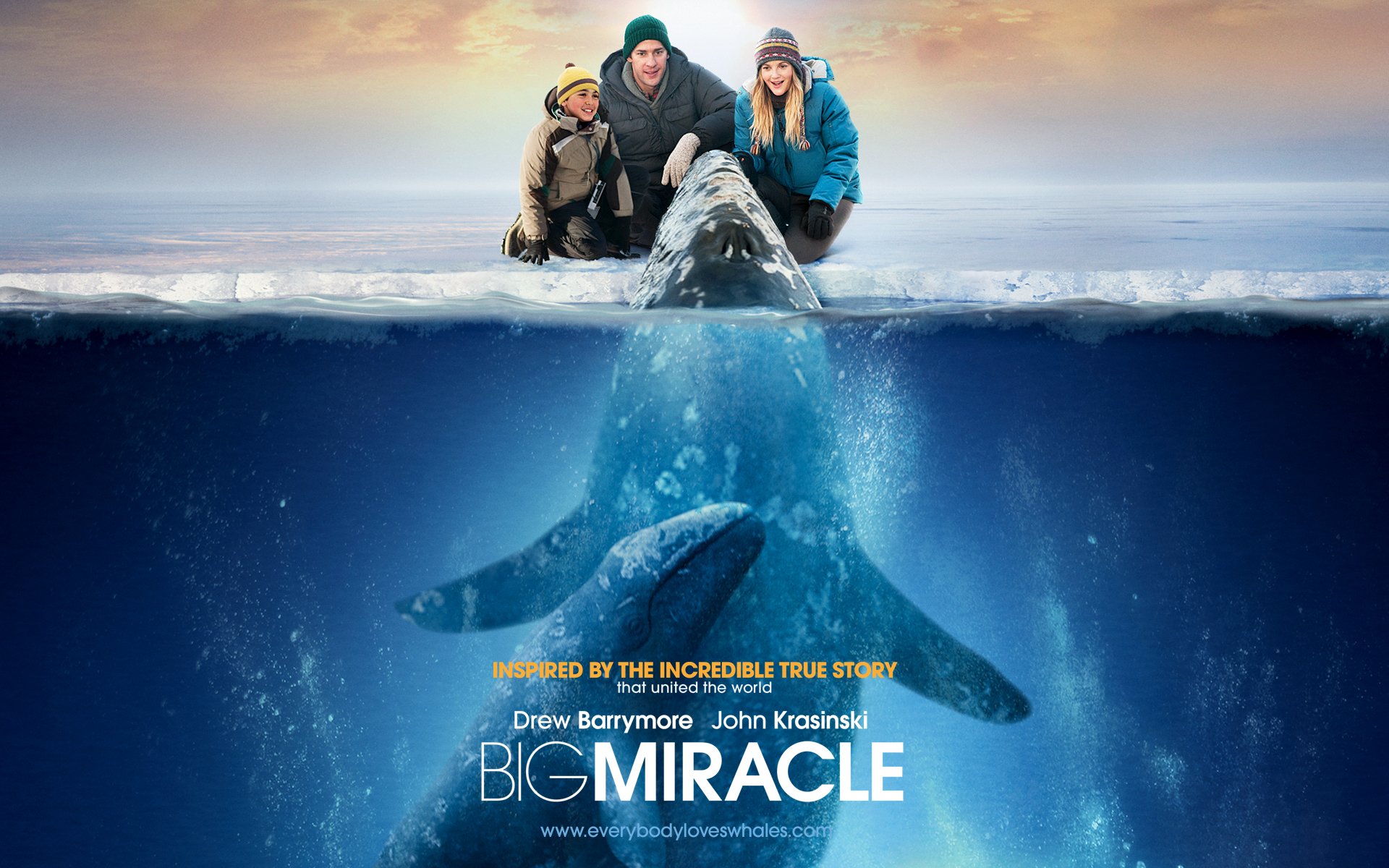 Download Movie Big Miracle HD Wallpaper