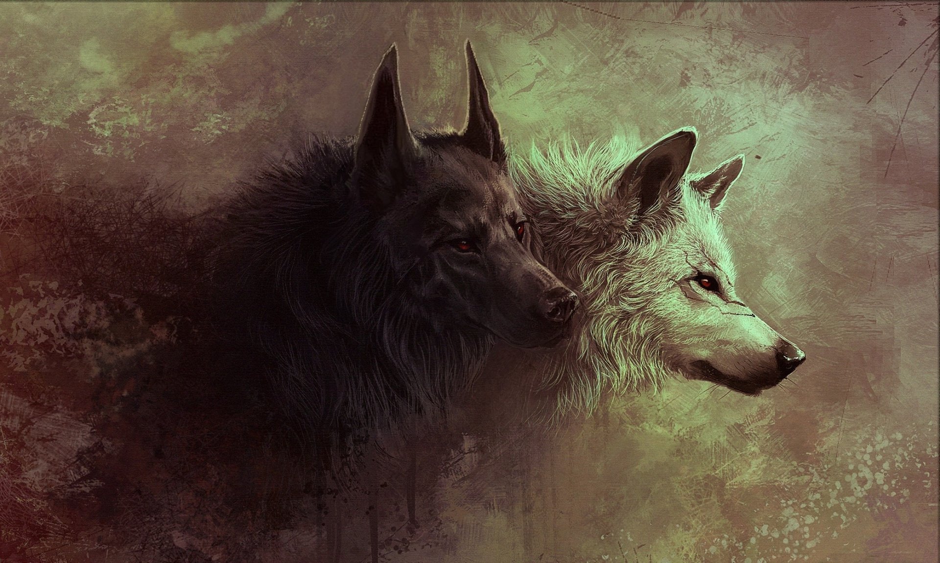 Download Animal Wolf  HD Wallpaper by Dark-Sheyn