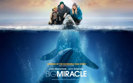 movie Big Miracle HD Desktop Wallpaper | Background Image