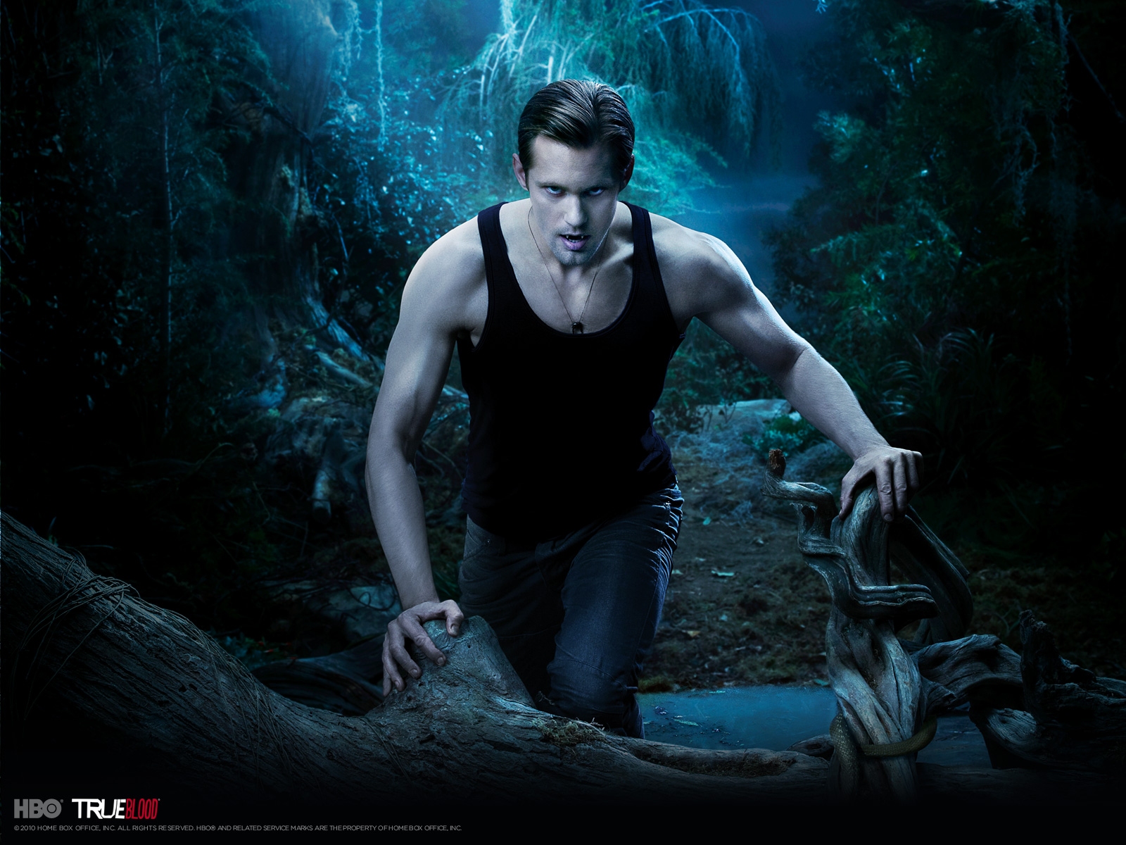 TV Show True Blood HD Wallpaper | Background Image