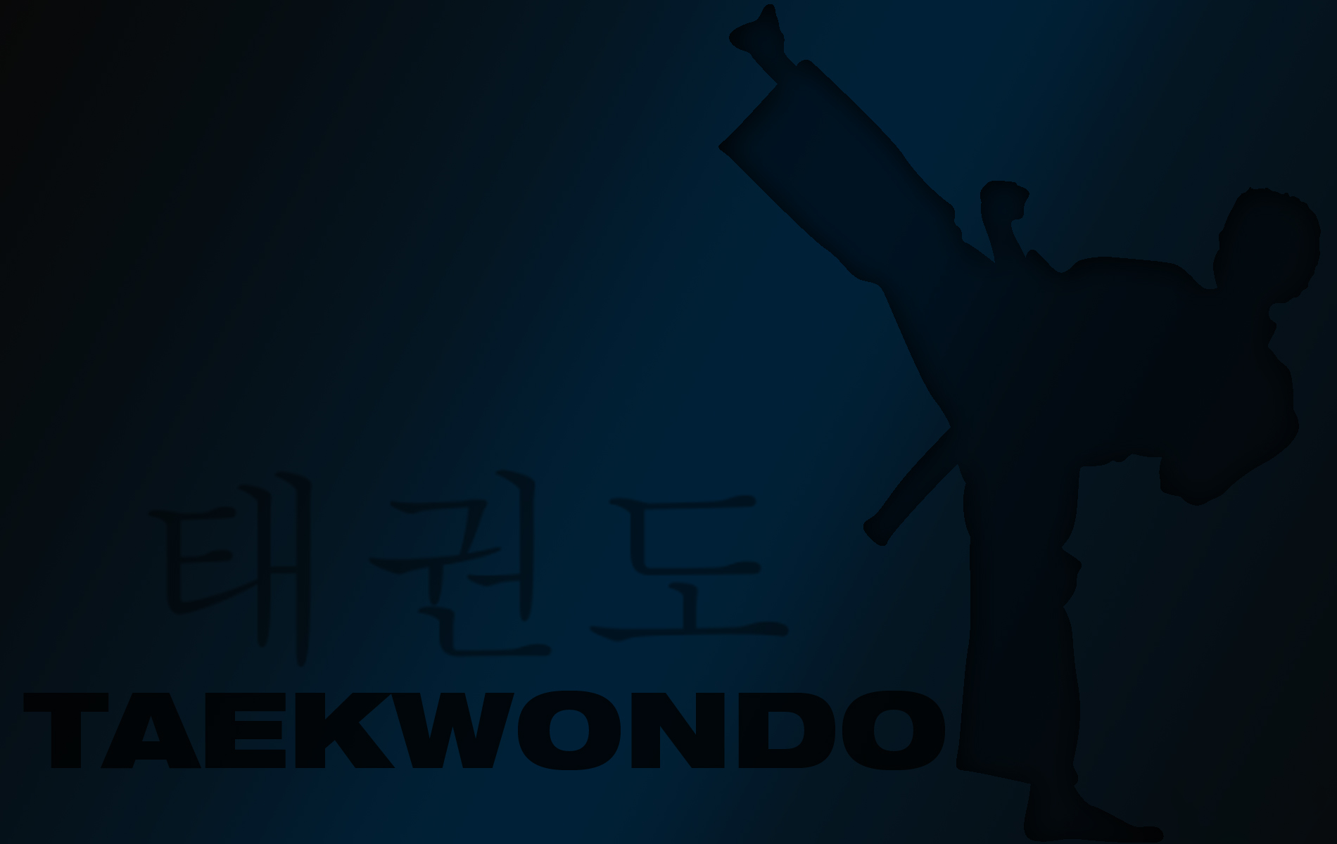 Cool Martial Arts  Taekwondo iPhone HD phone wallpaper  Pxfuel