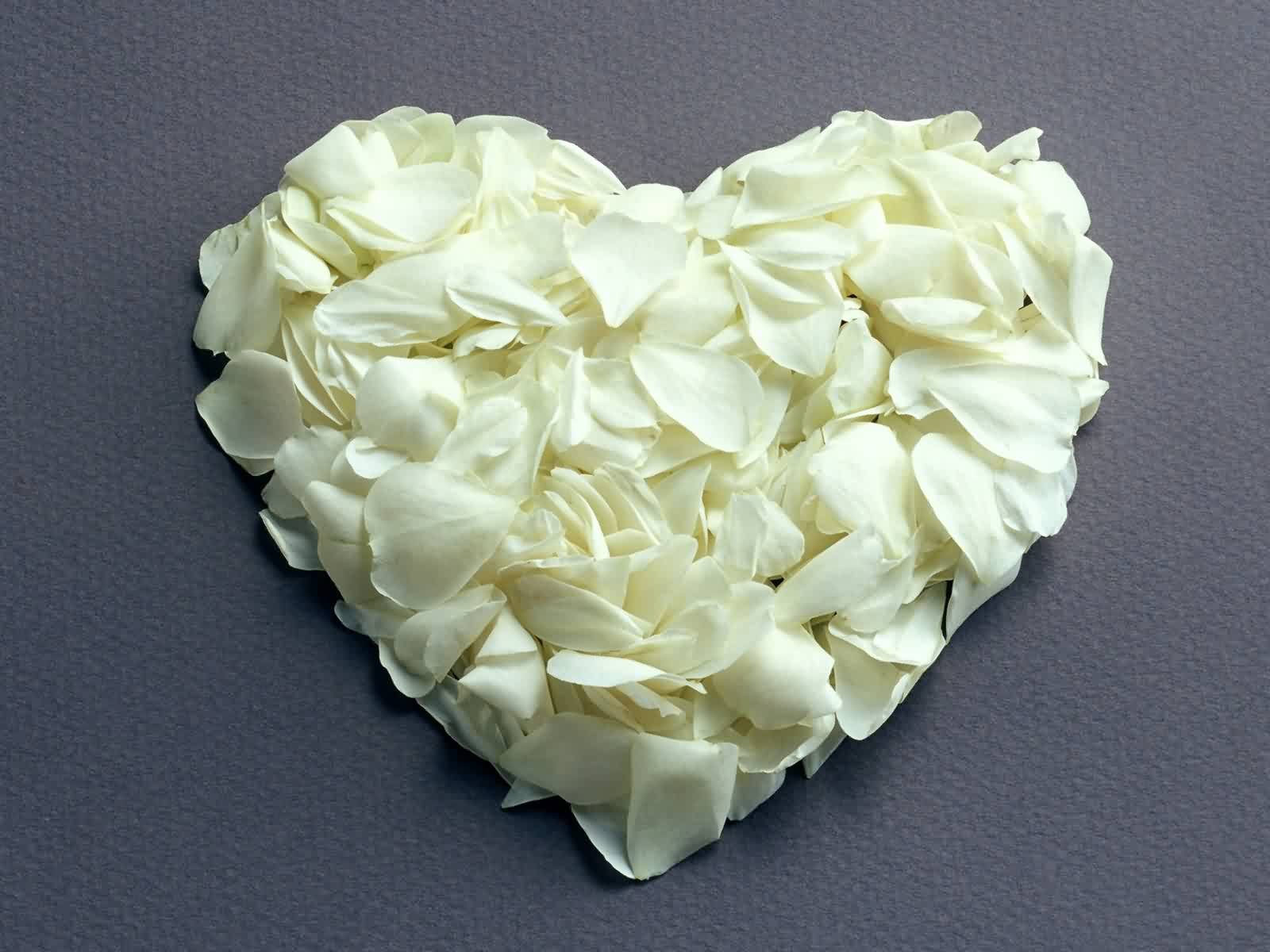 A heart-shaped arrangement of white rose petals against a gray background, evoking themes of love and artistry. This artistic design serves as an HD desktop wallpaper.