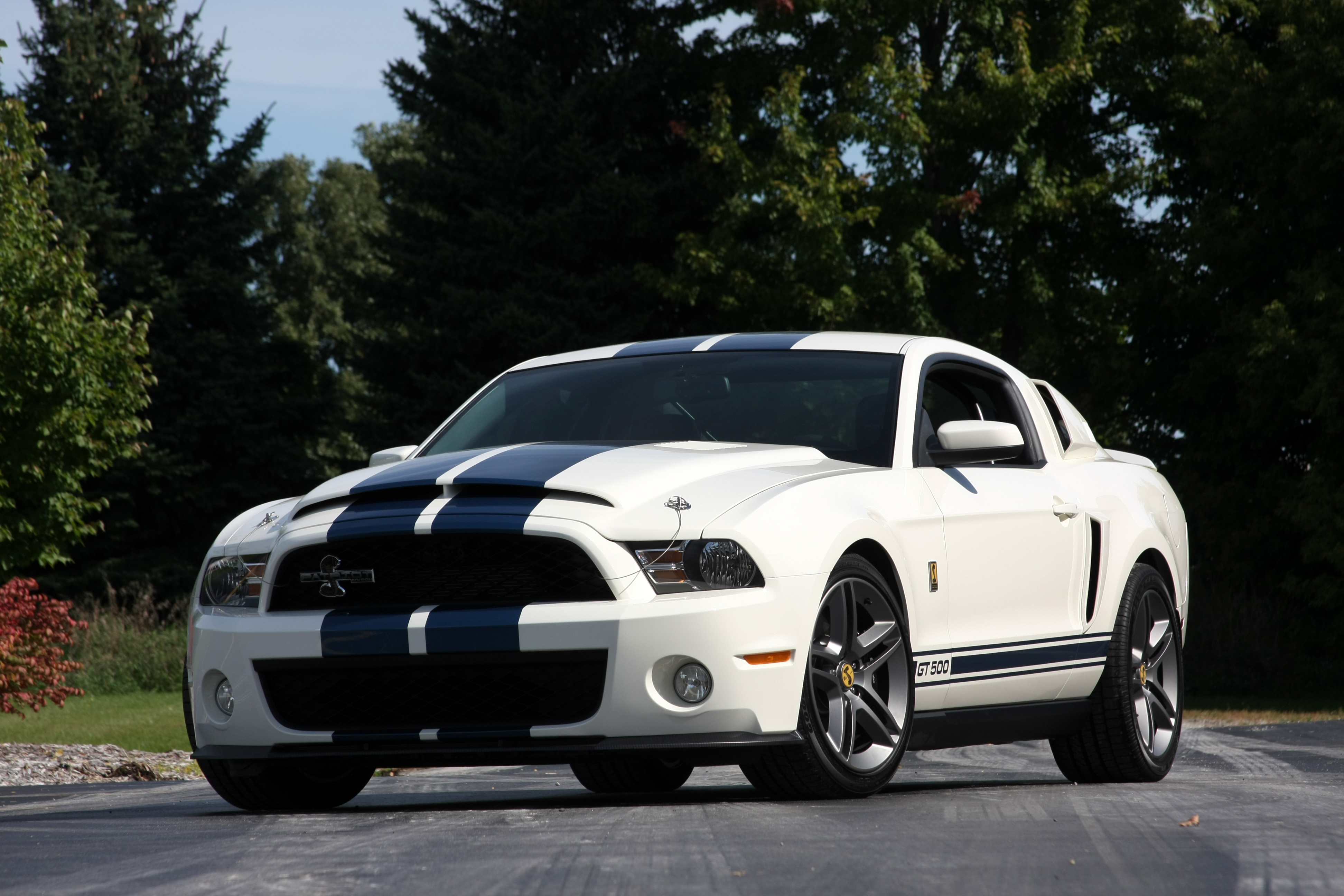 Vehicles Shelby GT500 HD Wallpaper | Background Image