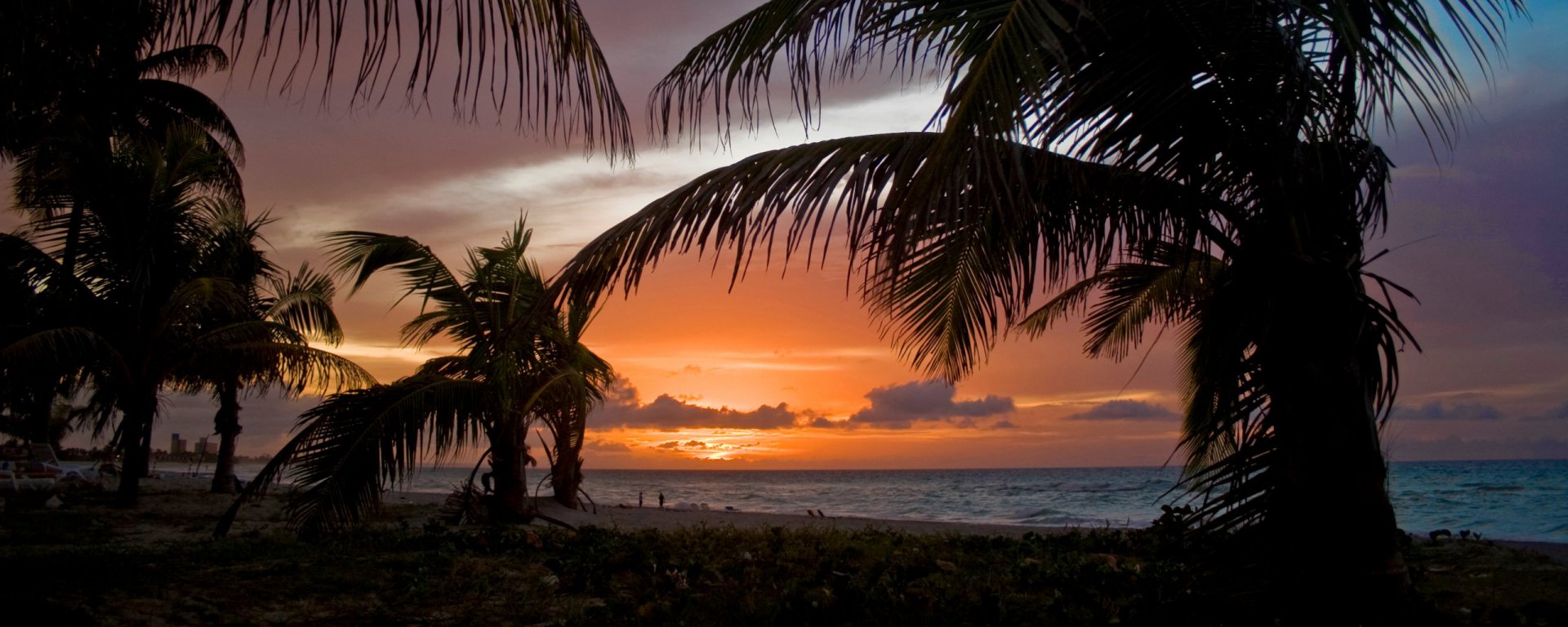 HD PC desktop wallpaper featuring a vibrant sunset with silhouetted palm trees framing the ocean horizon, capturing tropical tranquility in warm, rich colors.