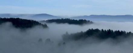 HD desktop wallpaper showing a serene nature scene with dense fog enveloping forested hills under a calm blue sky.